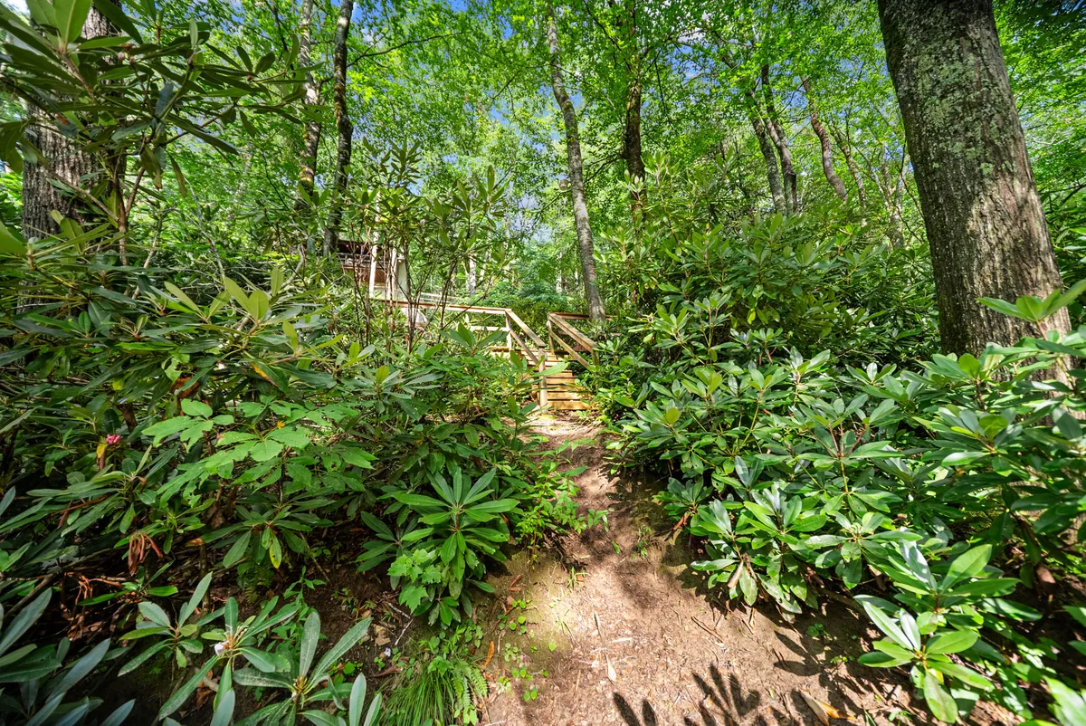 A peaceful outdoor setting with lush greenery and rustic wooden steps leading up to a structure, suggesting easy access to nature and hidden trails. The tranquil mood and inviting path foster a sense of discovery that matches the region's appeal to explorers of all ages.