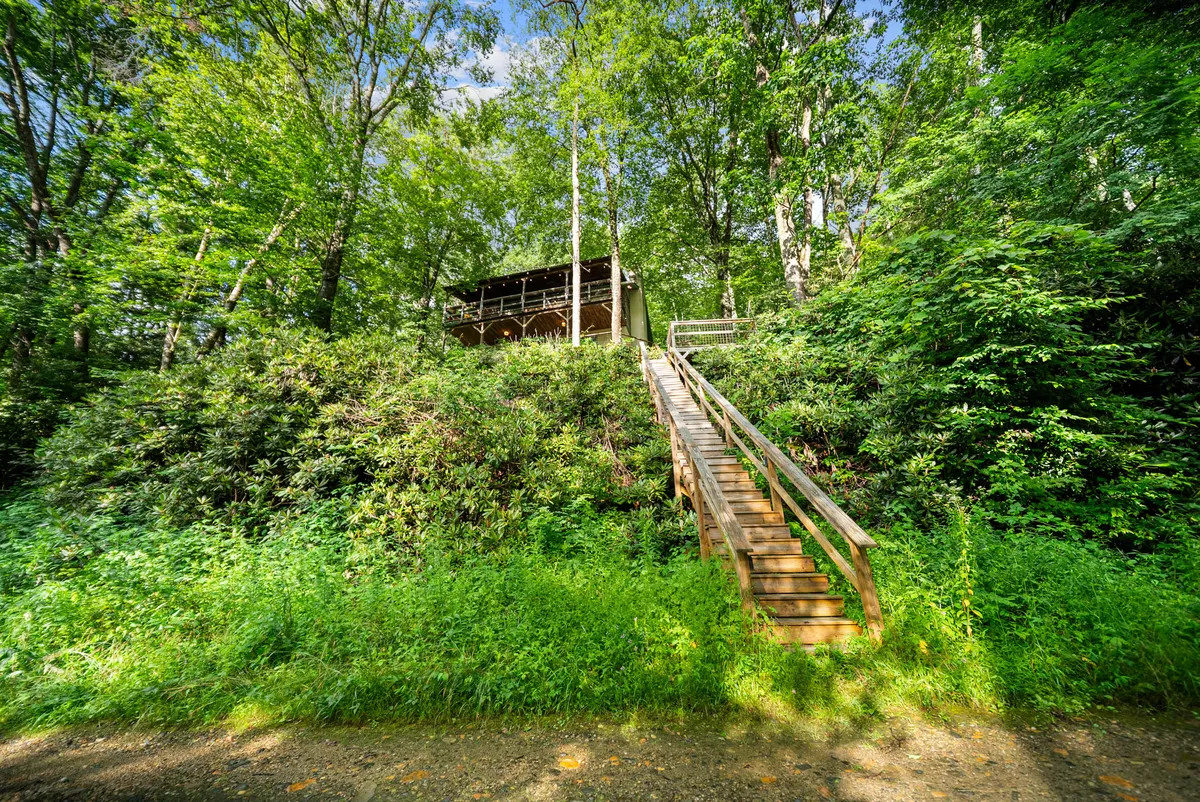 This exterior image features a charming cabin with a wooden staircase set amid lush greenery. The inviting front porch is perfect for relaxing after a day of exploring, and the scene hints at the adventure and tranquility that the High Country offers. The backdrop of trees and natural foliage reinforces the proximity to hiking paths and the outdoor lifestyle of the region.